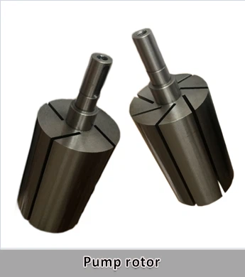 pump rotor pump rotor